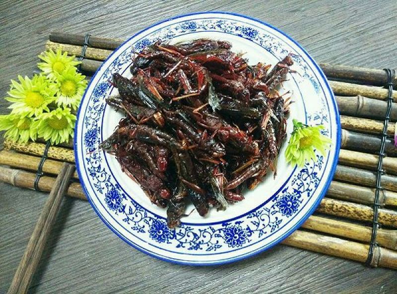 东亚飞蝗食用