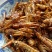 东亚飞蝗食用