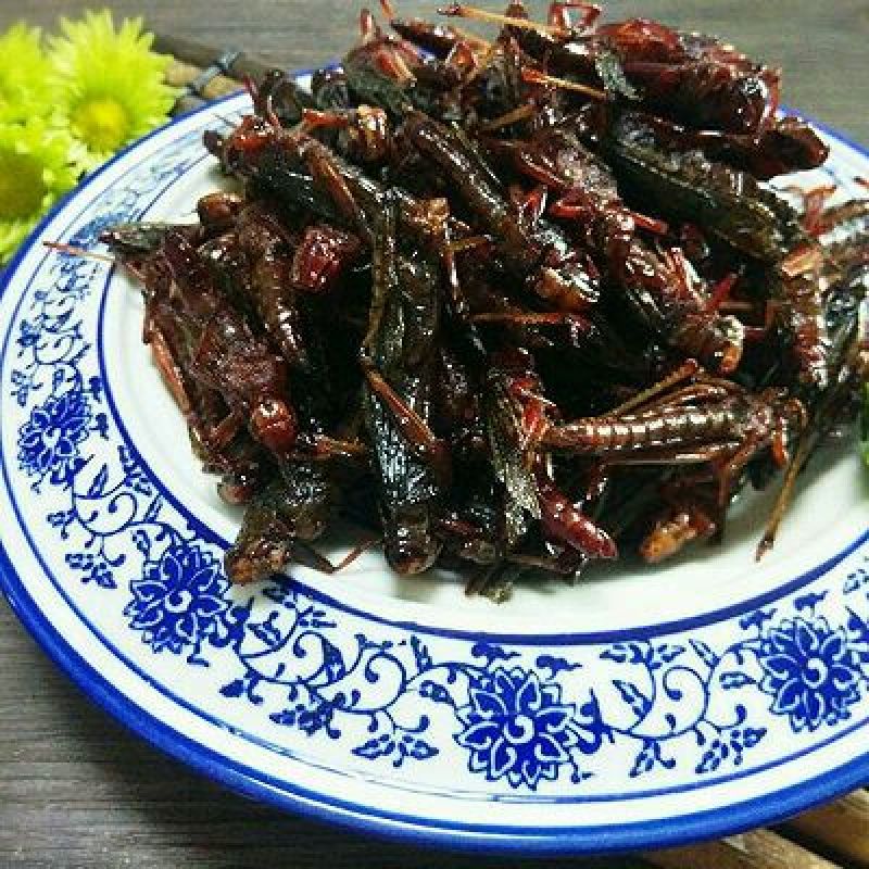 东亚飞蝗食用