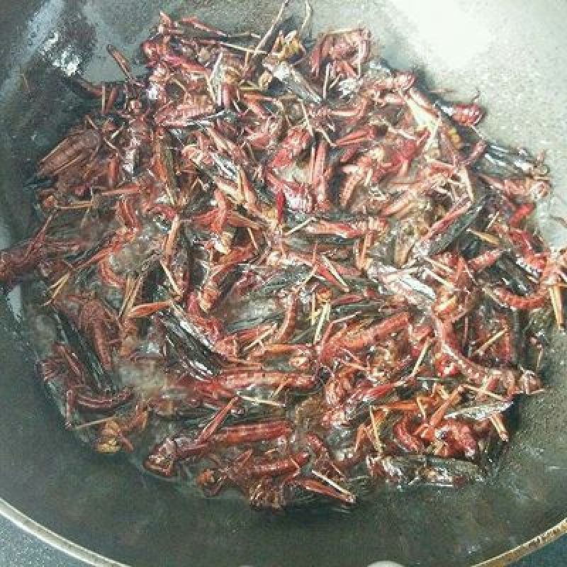 东亚飞蝗食用