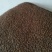 现货大量供应2021干油茶籽，欢迎洽谈采购