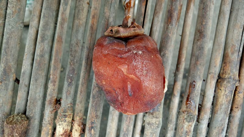 柿饼1~2两