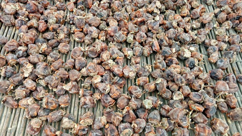 柿饼1~2两