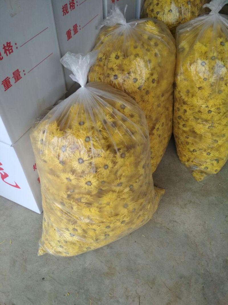 金丝皇菊茶一级
