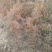 水腊50~80cm
