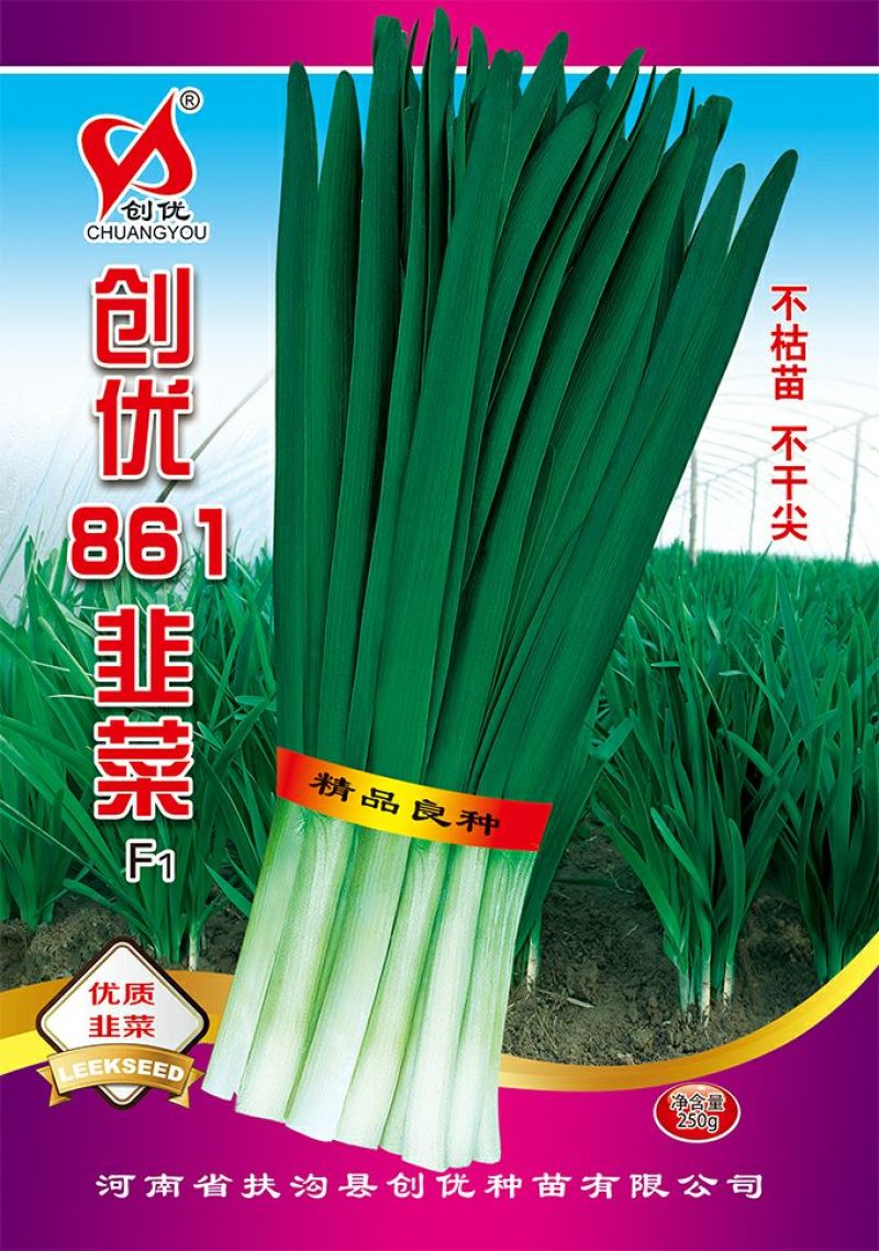韭菜种子袋装