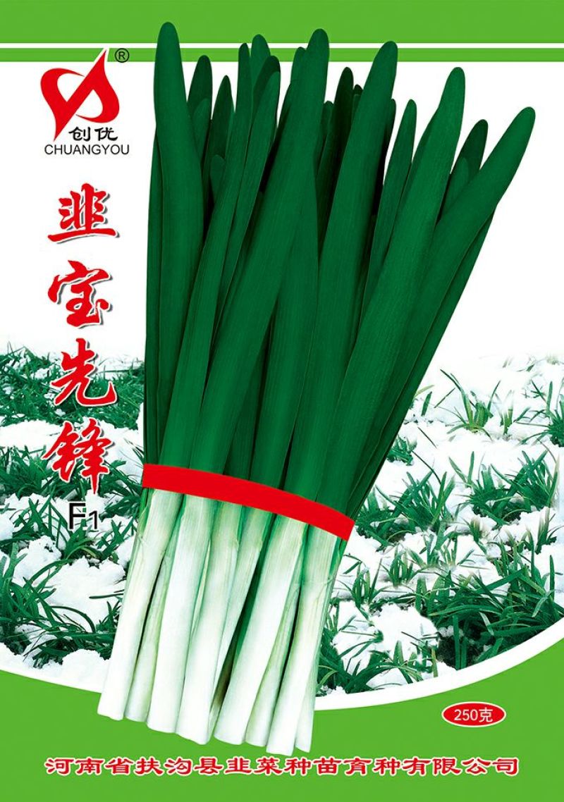 韭菜种子袋装