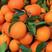 【HOT】优质供货长虹脐橙产地看货，皮薄多汁可对接电商