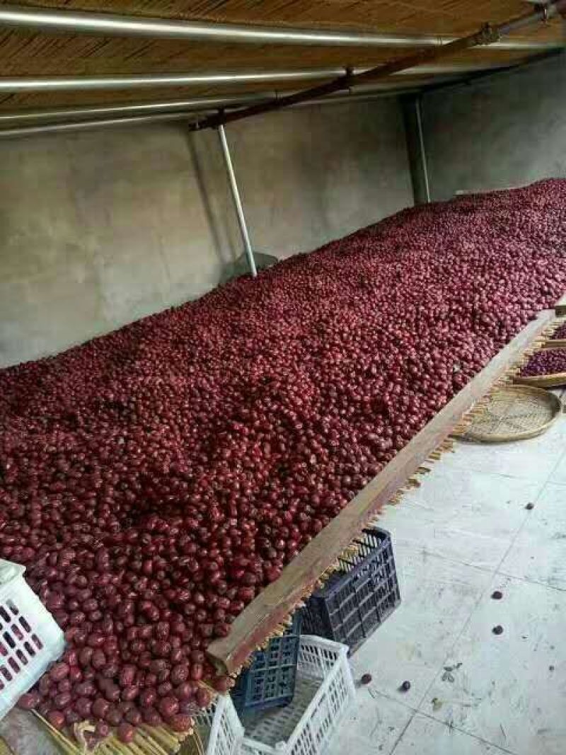 板枣干枣三级
