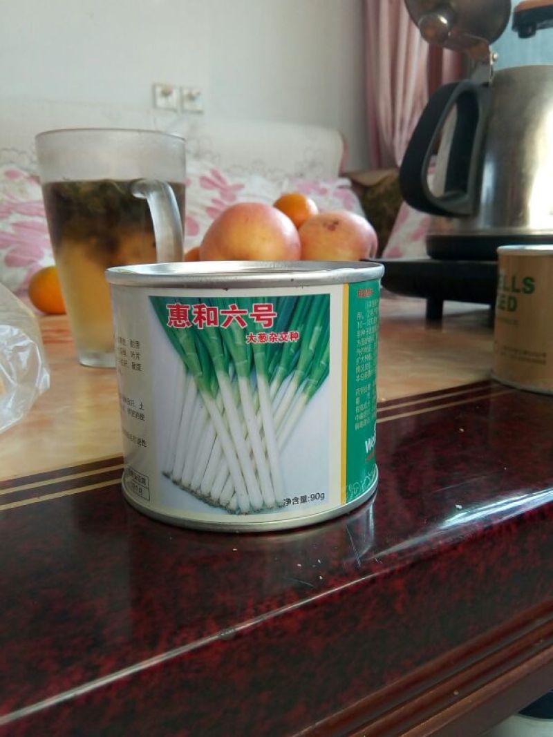 长白大葱葱苗30cm
