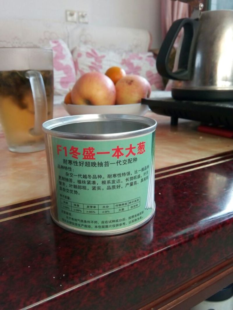长白大葱葱苗30cm