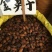 金樱子