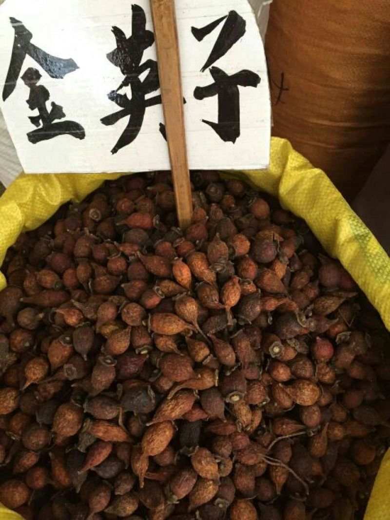 金樱子