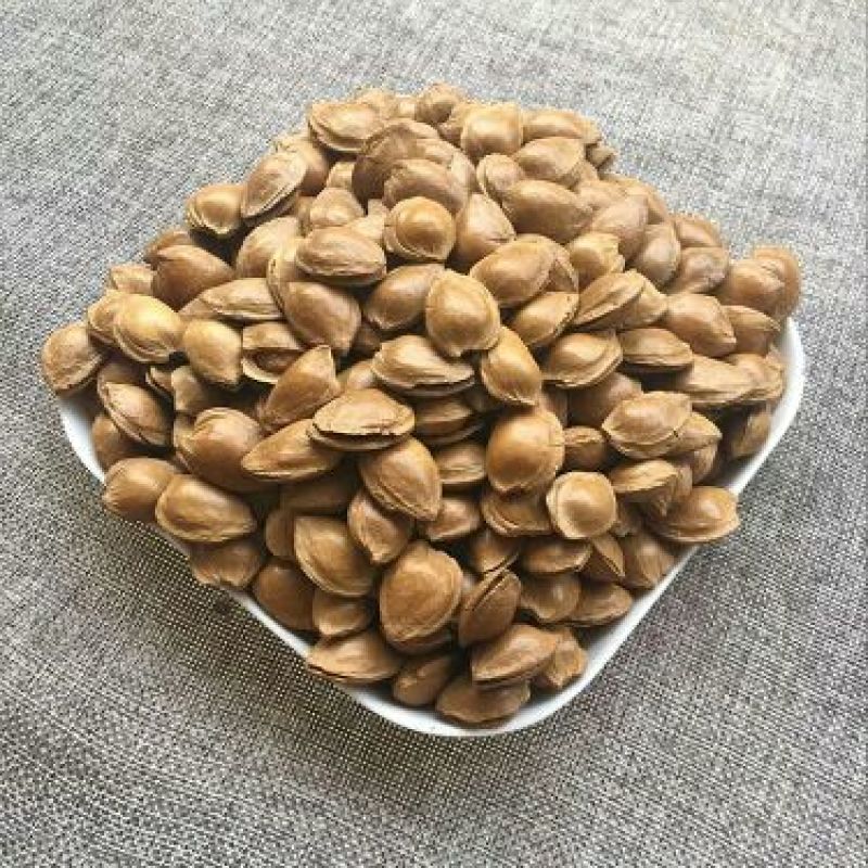 杏仁二级