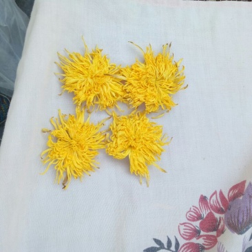 金丝皇菊茶特级