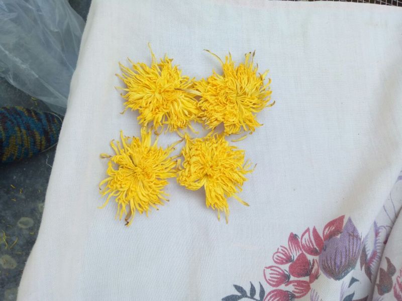 金丝皇菊茶特级