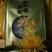 金丝皇菊茶特级