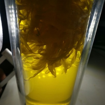 金丝皇菊茶特级