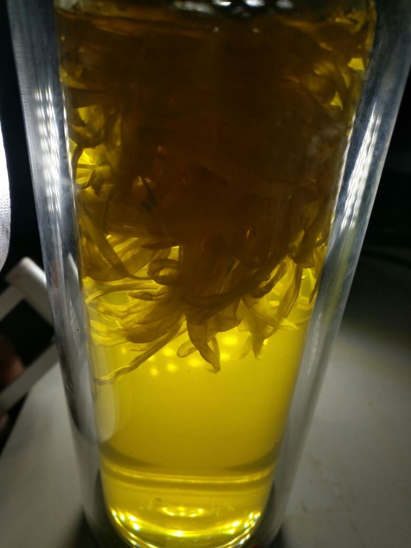 金丝皇菊茶特级