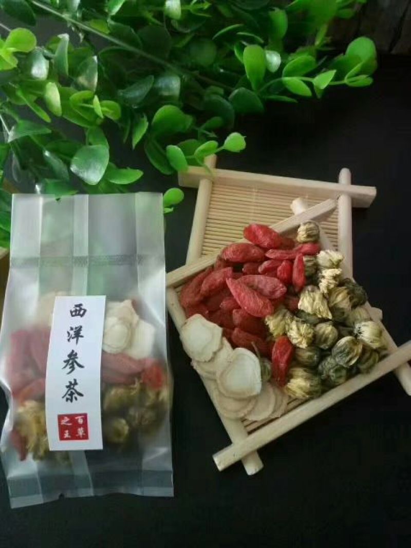人参干