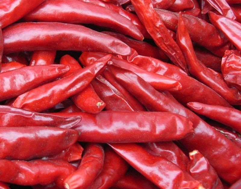 三樱干辣椒9成干以上上通货大量上市货源充足