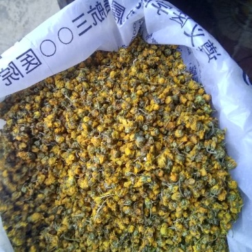 野菊花散装