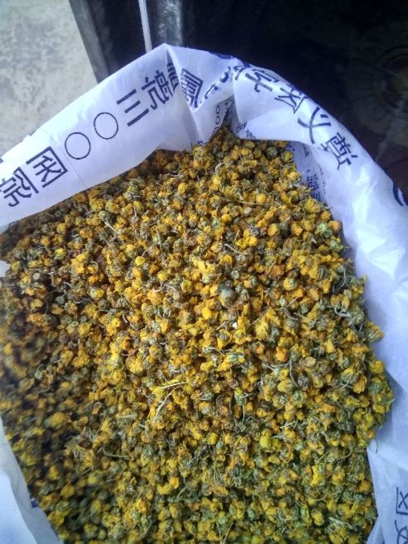 野菊花散装