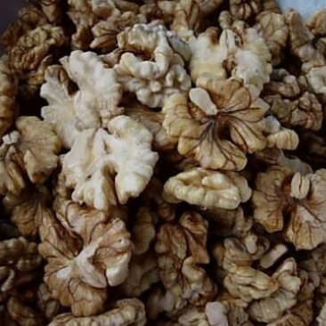薄皮核桃去皮25~30mm干