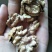 薄皮核桃去皮25~30mm干
