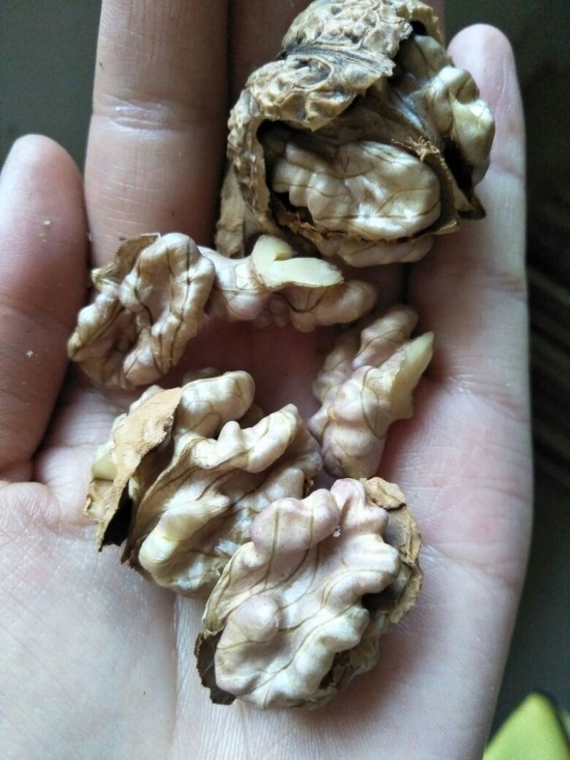 薄皮核桃去皮25~30mm干