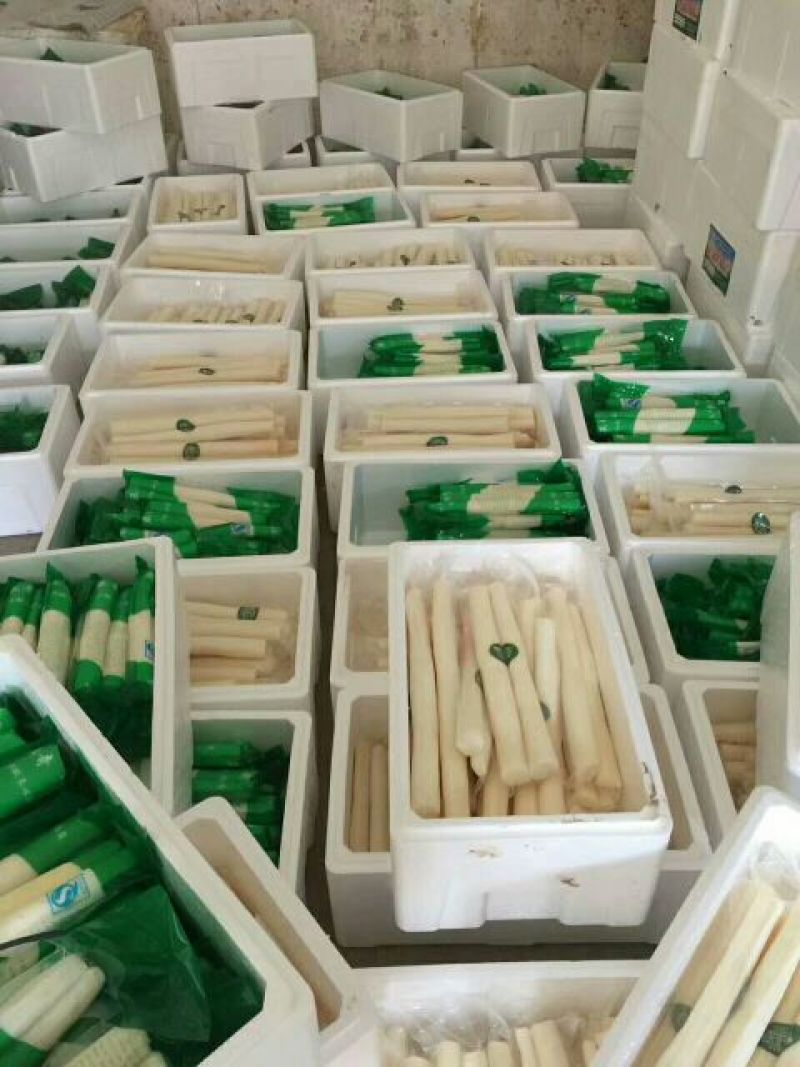 山药4~6厘米50~70厘米一级通货