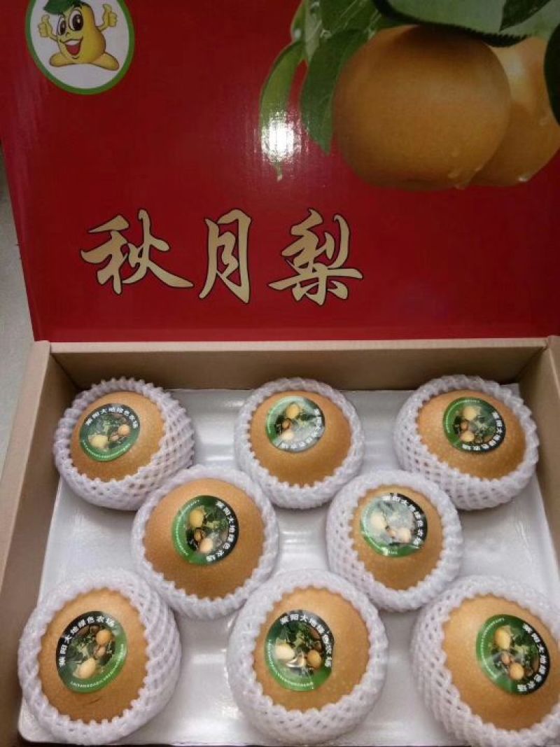 秋月梨纸袋400~450g