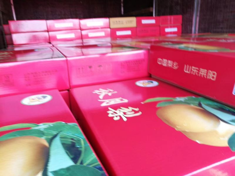 秋月梨纸袋400~450g