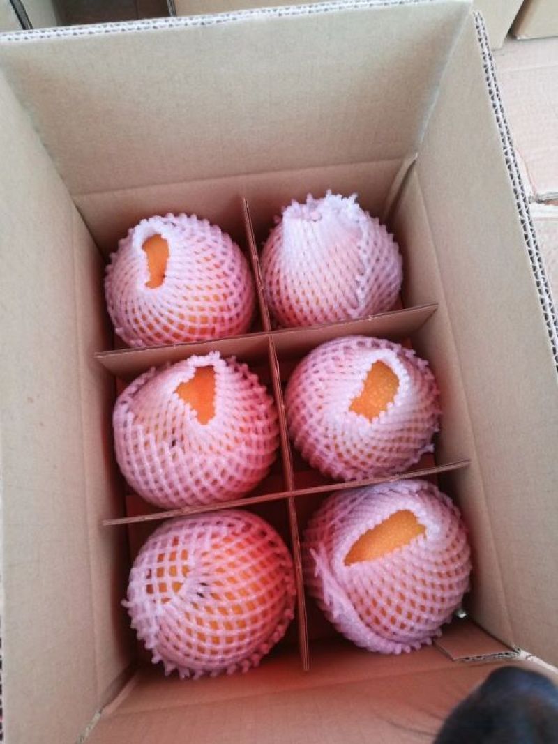 秋月梨纸袋400~450g