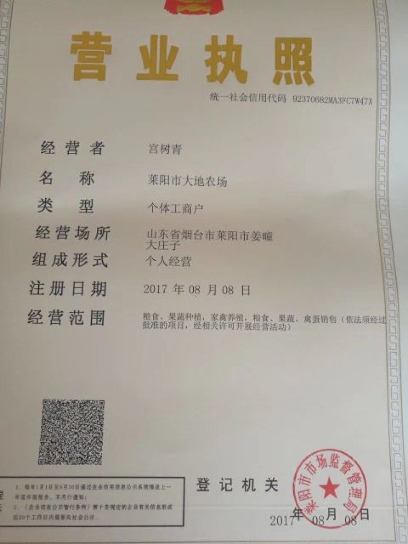 秋月梨纸袋400~450g