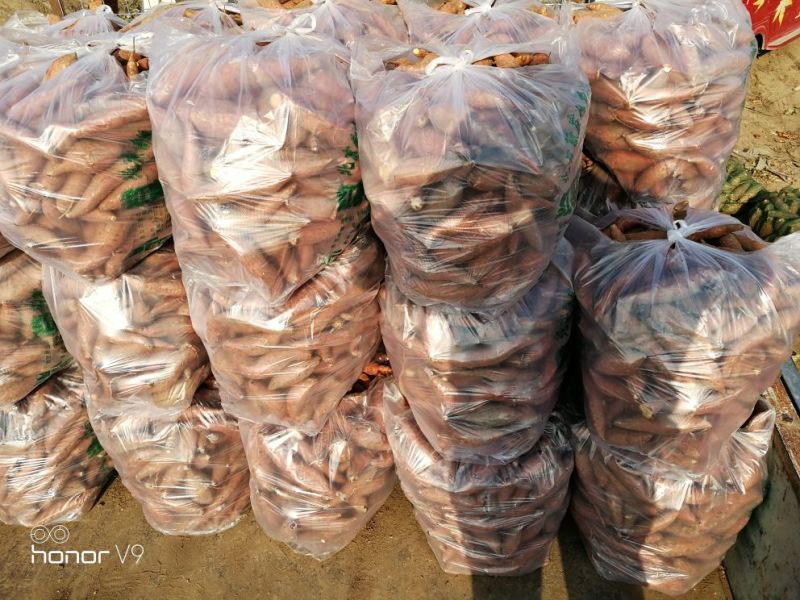 烟薯25小薯3两以下商品红薯精捡包装