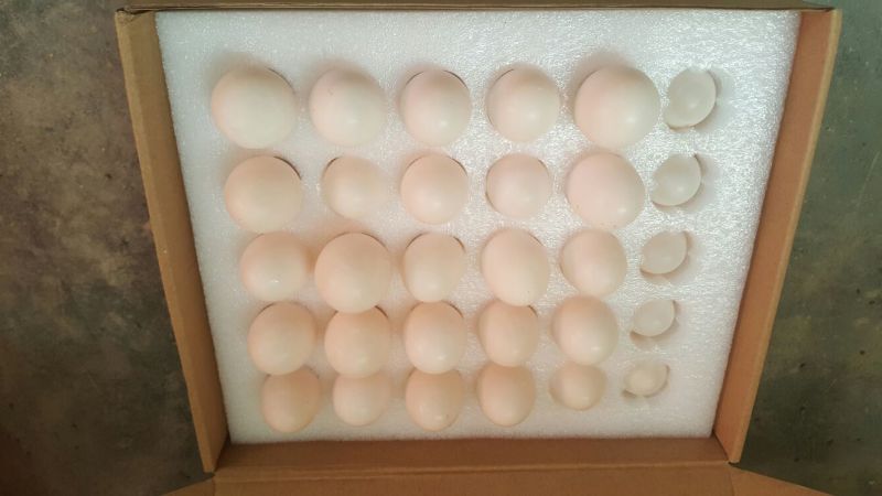 鸽子蛋食用