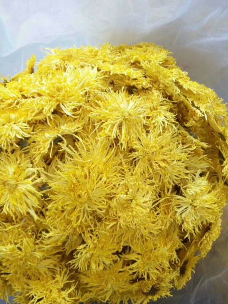 茶叶2025年金丝皇菊200朵起批