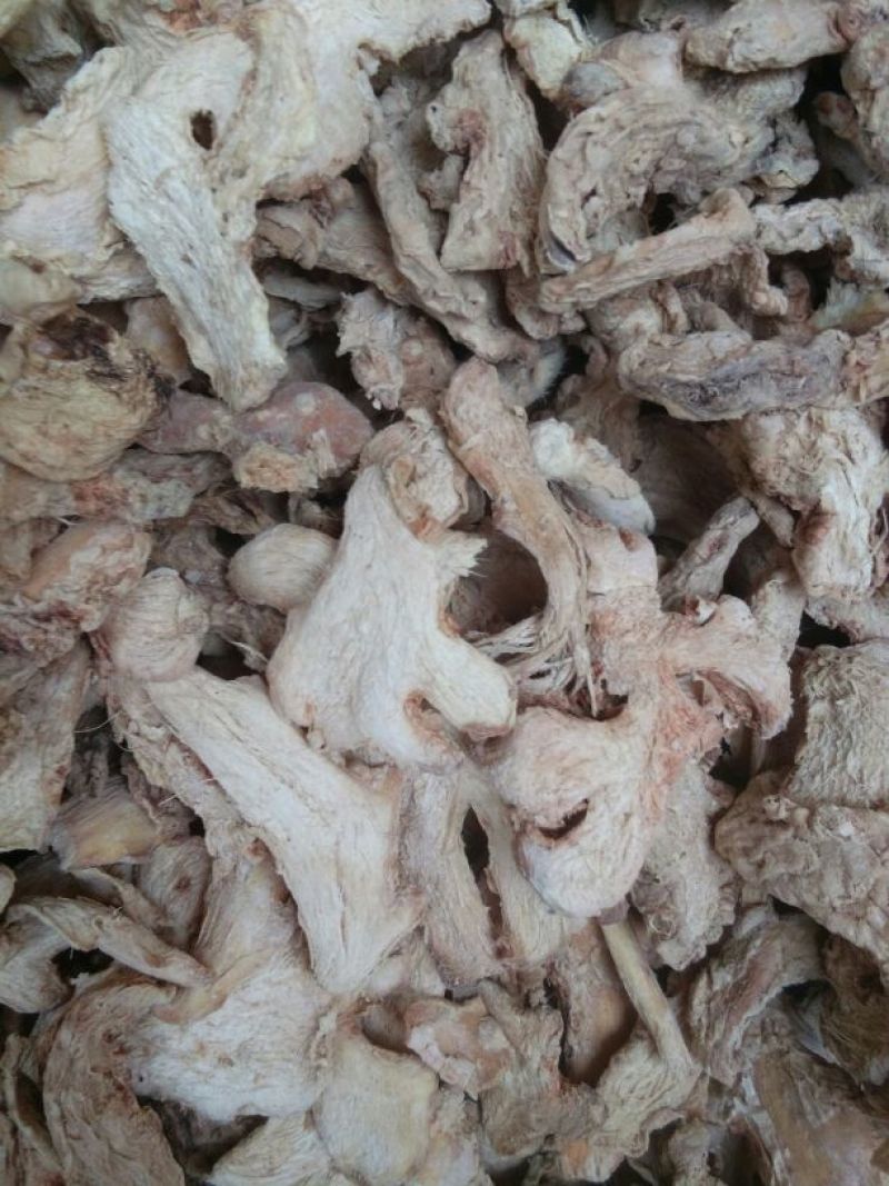 小黄姜干片