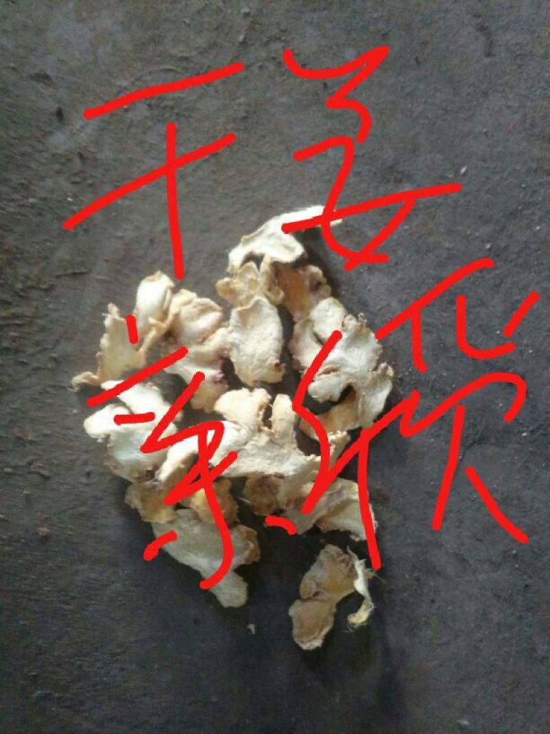 小黄姜干片
