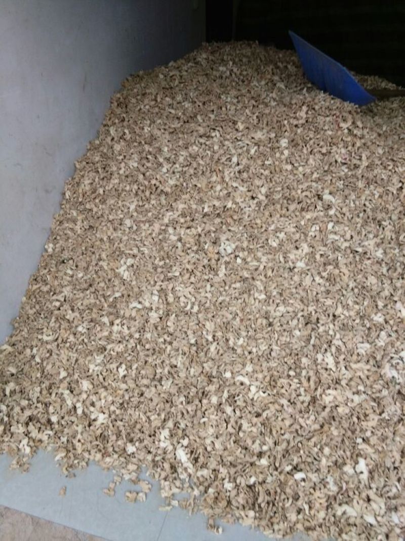 小黄姜干片