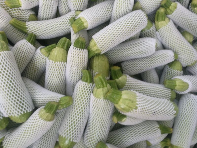 绿皮西葫芦0.6斤以上