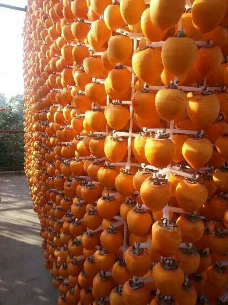 柿饼1~2两