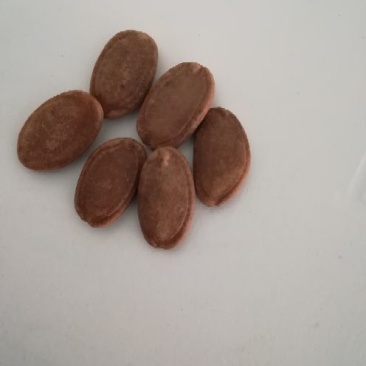葫芦瓜子散装熟