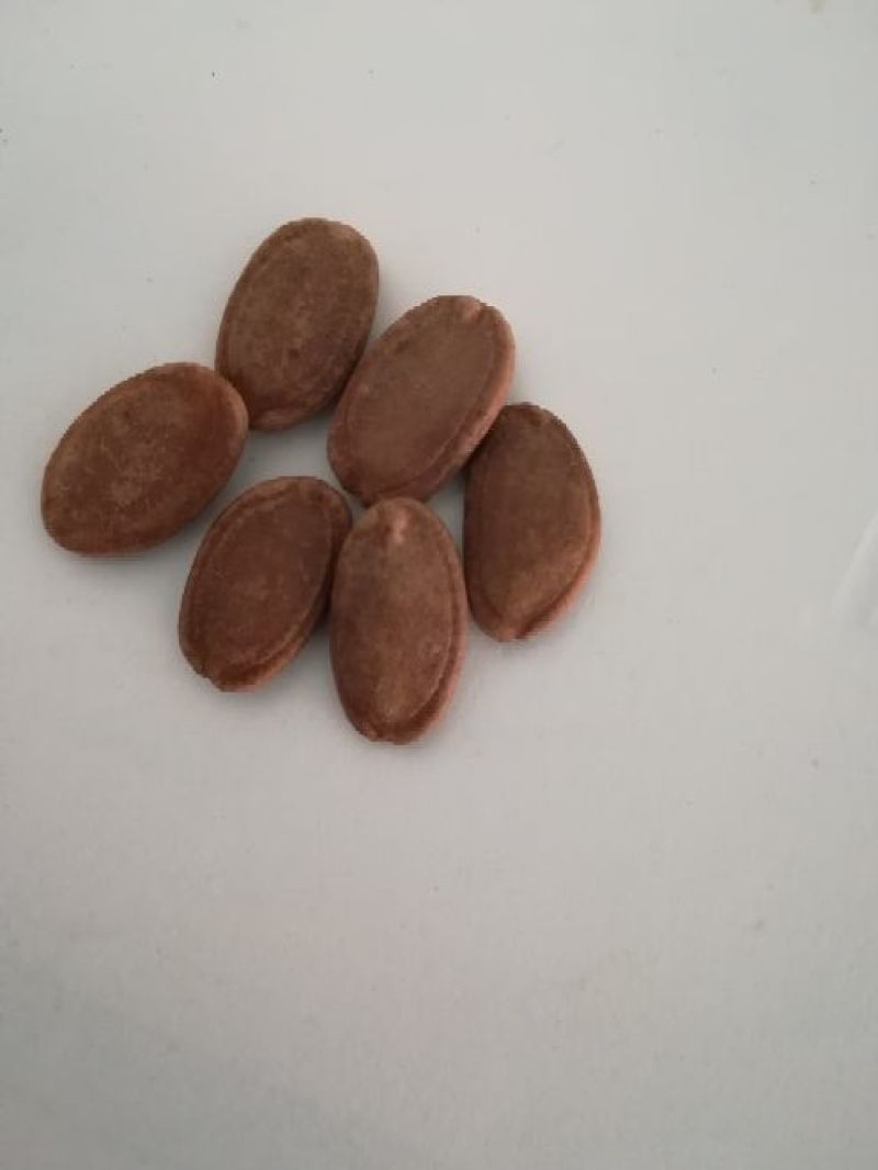 葫芦瓜子散装熟