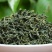 绿茶一手货源云南绿茶回龙茶包邮