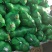 甘蓝扁包菜湖北嘉鱼县扁包菜量大从优基地供应