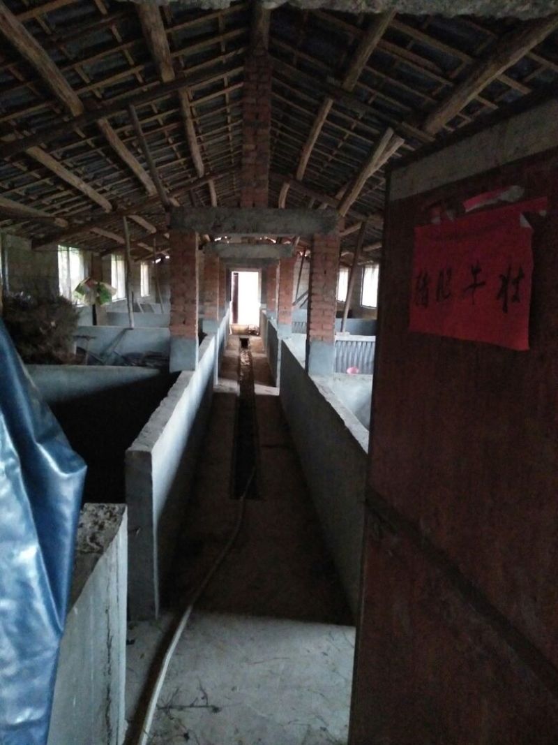 家庭农场转让，