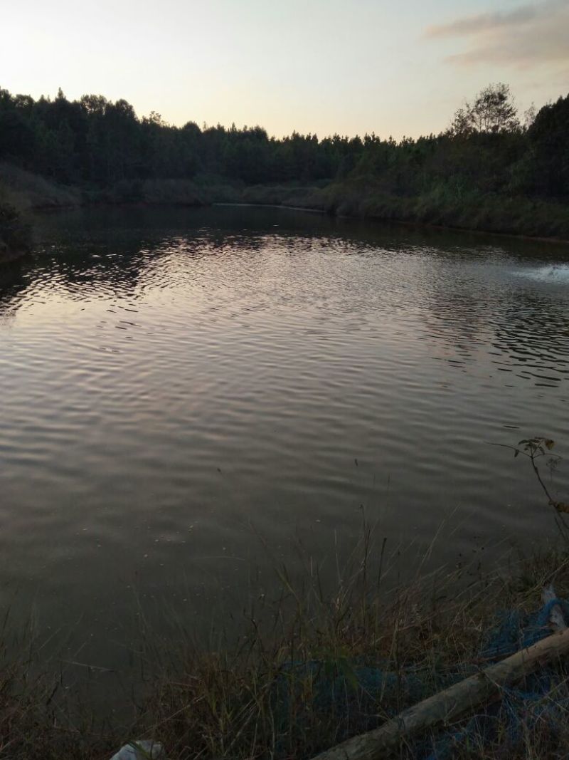 家庭农场转让，