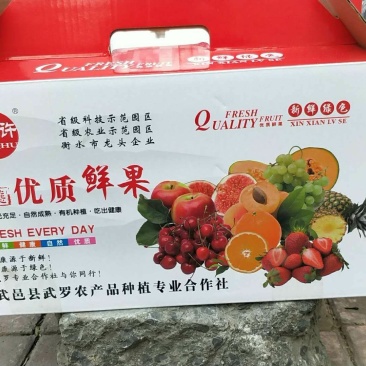西州蜜瓜2斤以上椭圆形